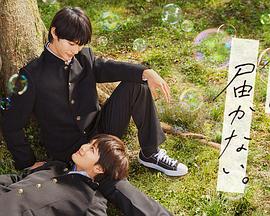 掰开双腿轮流强入